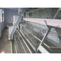 Hot Sale Galvanized Broiler Cage Certificate of ISO9001 (cadre H)